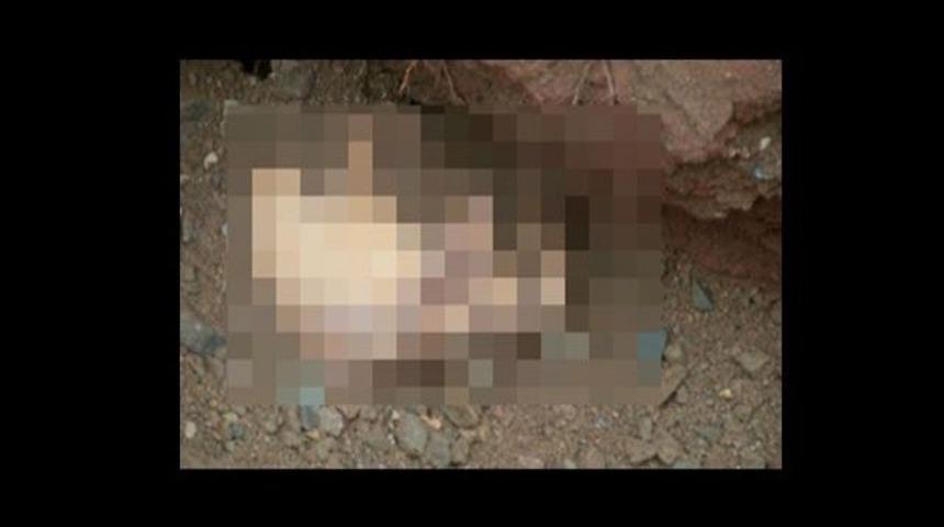 Kazı sırasında buldular!