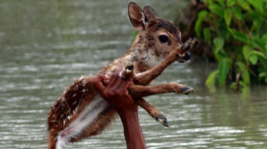 D&uuml;nya bu pozu konuştu