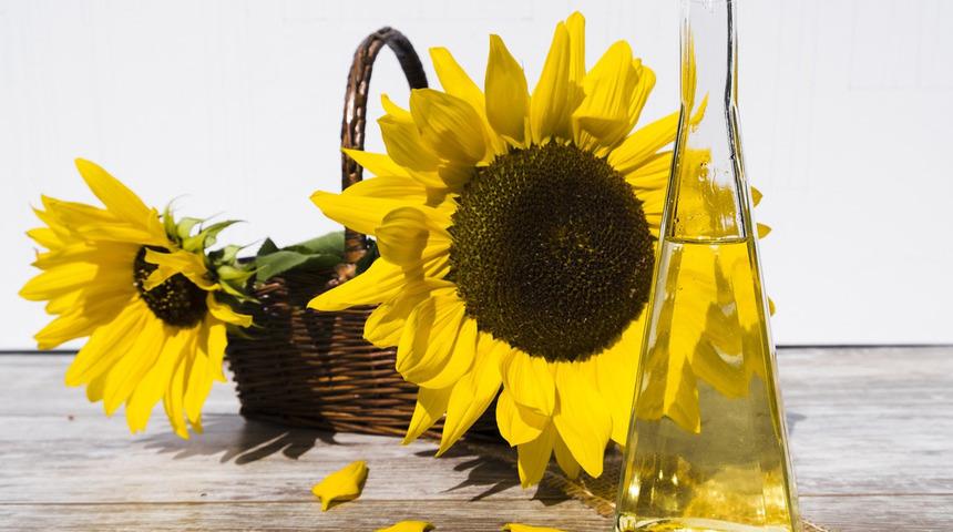 Et yerine mercimek tereyağı yerine ayçiçek yağı... DSÖ en sağlıklı besinleri açıkladı!