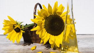 Et yerine mercimek tereyağı yerine ayçiçek yağı... DSÖ en sağlıklı besinleri açıkladı!