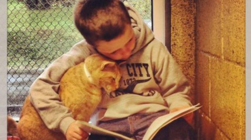 En sevimli 'okuma arkadaşı'