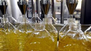 Rusya-Ukrayna savaşı Mısır'ı da vurdu! Yasak getirdiler