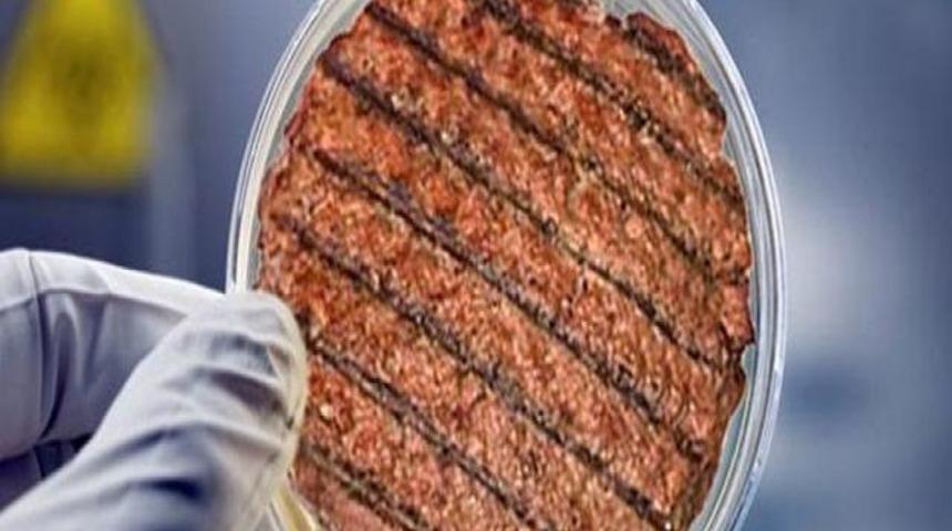 Kök hücreden köfte üretildi