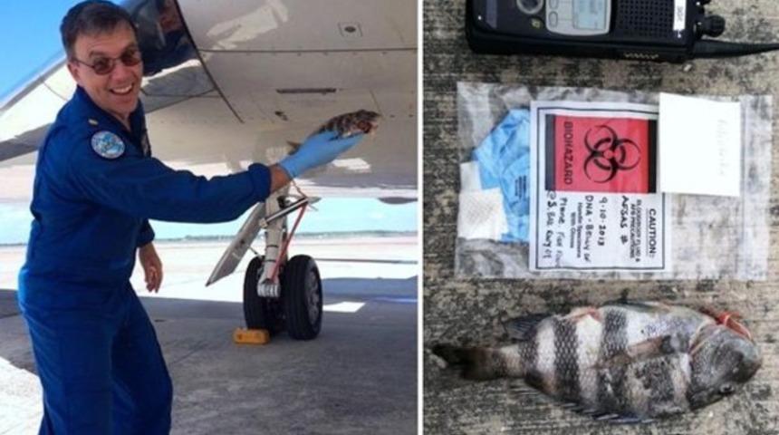 Kalkıştaki &ouml;zel jete balık &ccedil;arptı