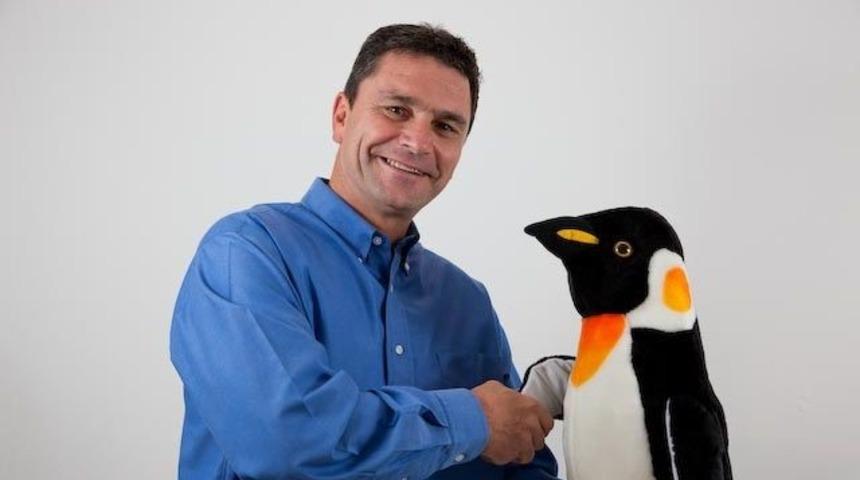 Buzlar erirken penguenlerden öğreneceklerimiz var