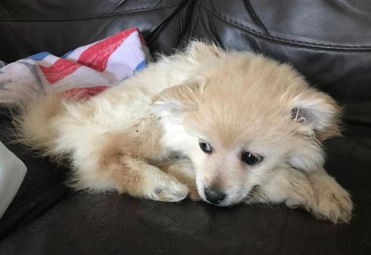 Ölüme terk etti&hellip; Çöp torbasına sarıp diri diri gömdü