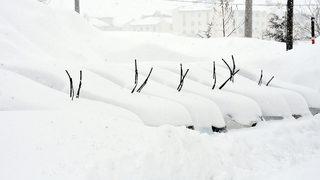 Kar kalınlığı 2 metreyi aştı! Ev ve araçlar kara gömüldü...