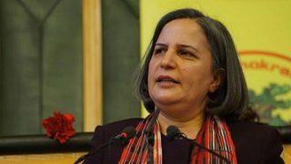 Gültan Kışanak Diyarbakır için favori 