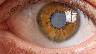 Türk bilim insanından büyük başarı! Yeni yöntem umut oldu