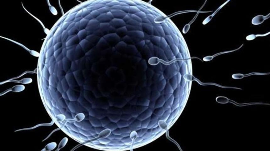 Azoospermi (Sperm Yokluğu) Nasıl Tedavi Edilir? Azoospermi Nedir?