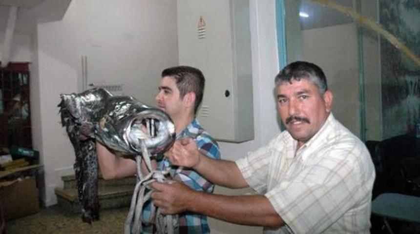 Balıkesir'de dev balık şaşırttı