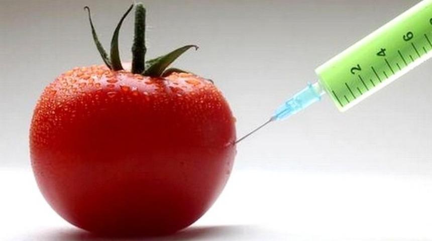 Binde 9 oranında GDO artık yasal