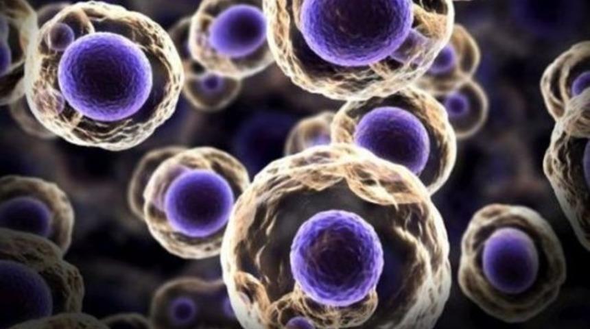 Kanserden korunma – genel bilgiler