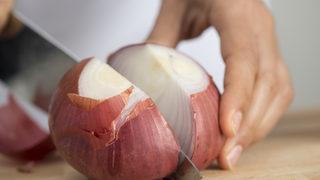 Cumhurbaşkanı başdanışmanından çarpıcı soğan açıklaması: Yanınızda bulundurun