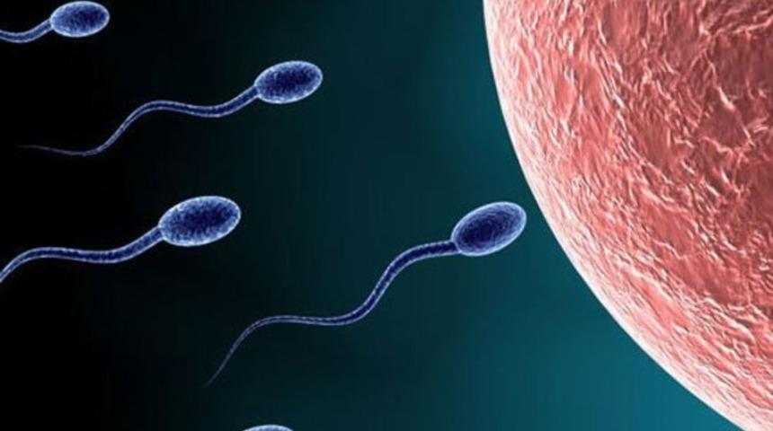 Vazektomi (meni kanallarının bağlanması) erkekliği etkilemez