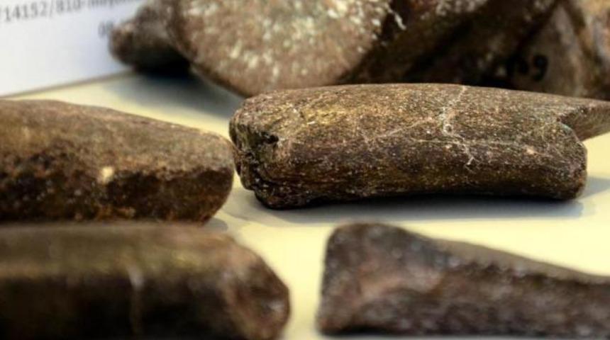 Turist akını başlatan fosil!