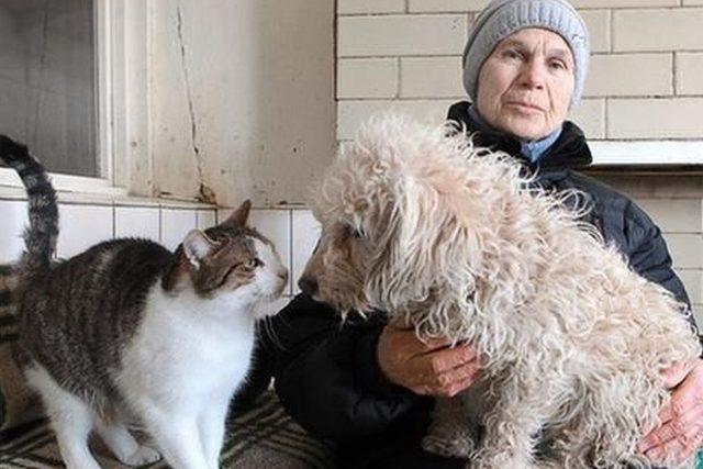 Ukrayna da geride kalan vahşi hayvanlar zor durumda: "Korkudan, açlıktan ve soğuktan acı çekiyorlar" 1