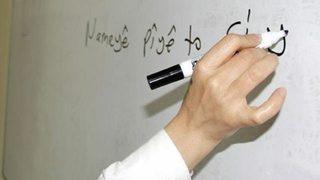 'Kürtçe eğitimde tek rakibimiz ODTÜ'