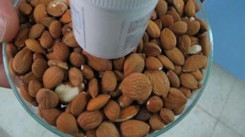 Kayısı &ccedil;ekirdeği kanser hastalarına umut olacak