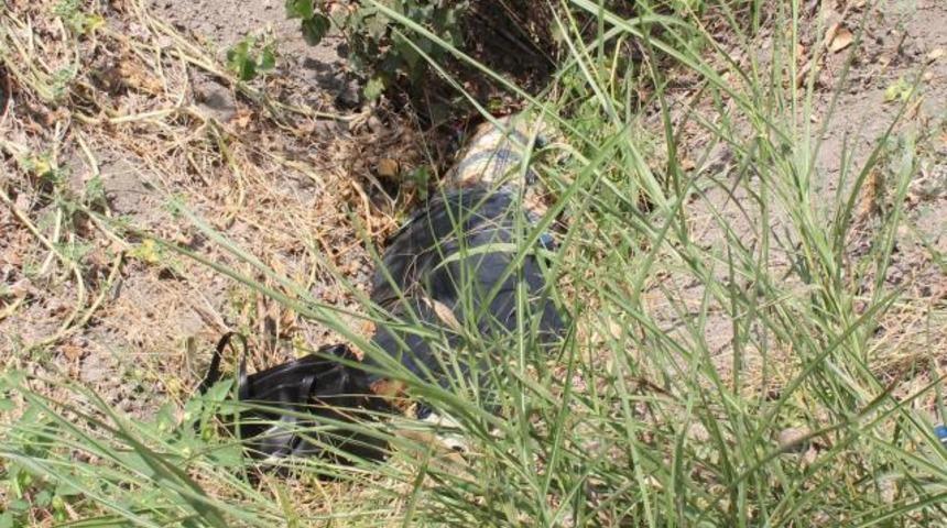 Kayıp kadının cesedi mısır tarlasında bulundu