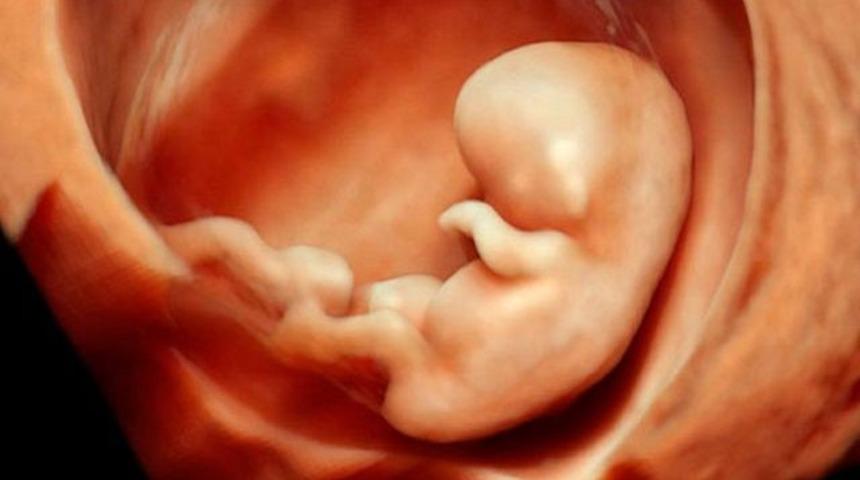 Anne karnındaki bebek hangi sesleri duyar?  (Fet&uuml;s sesleri)