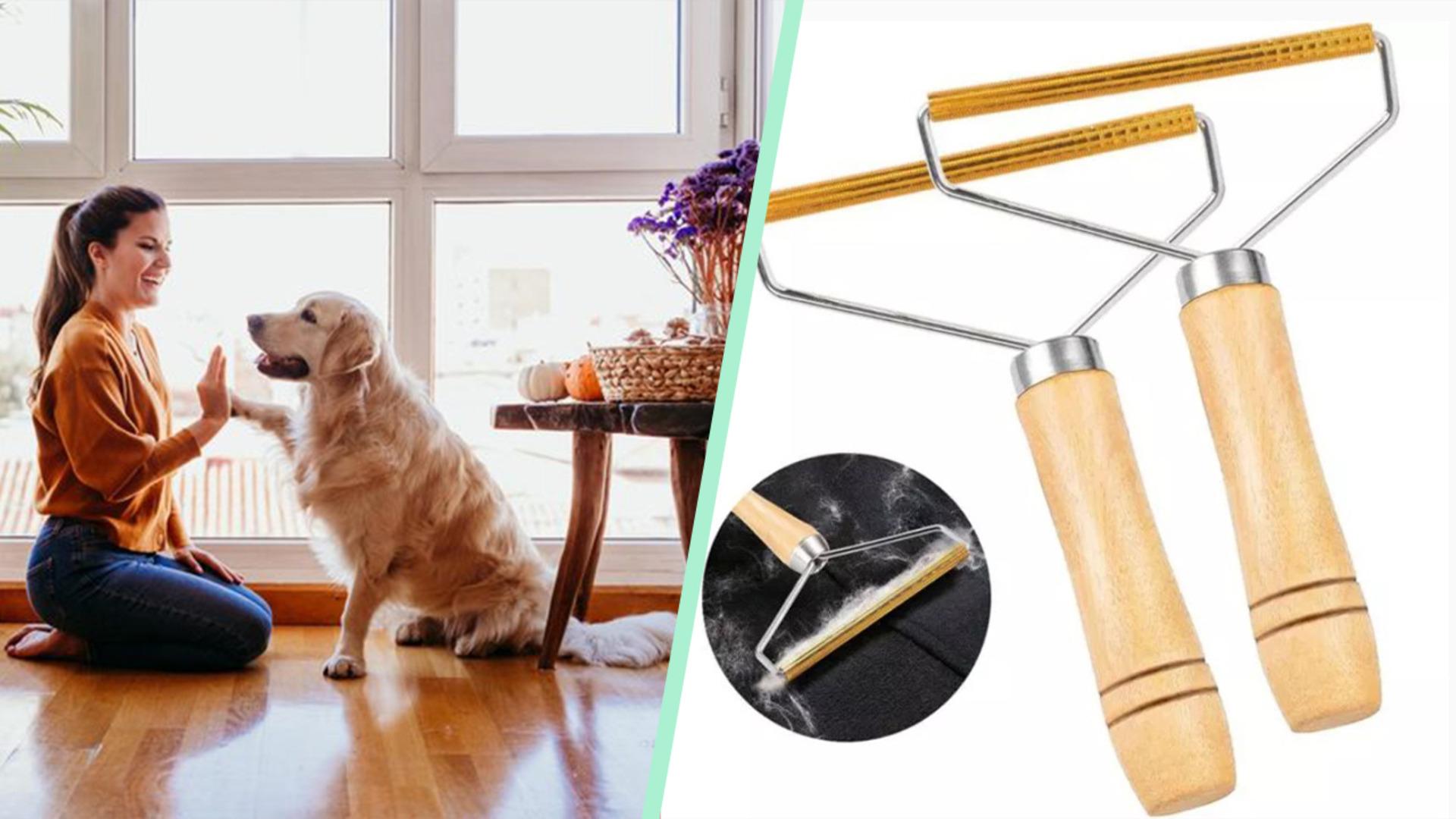 Köpek sahiplerinin işini kolaylaştıracak hayat kurtaran ürünler