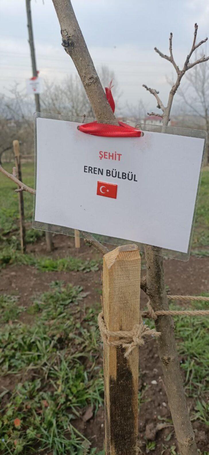 Evinin bodrum katını müzeye çevirdi! Şehitlerin her biri için fidan dikti G5