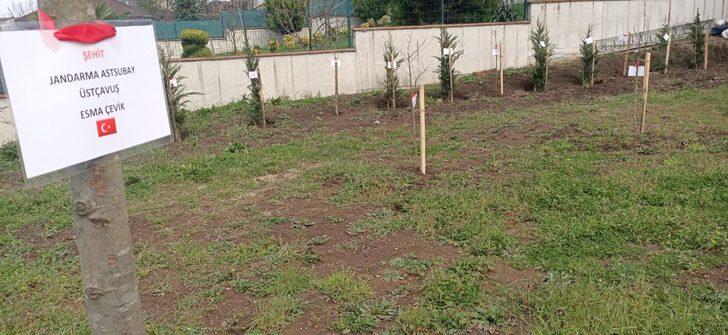 Evinin bodrum katını müzeye çevirdi! Şehitlerin her biri için fidan dikti G4