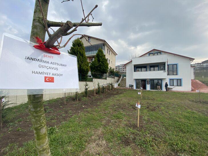 Evinin bodrum katını müzeye çevirdi! Şehitlerin her biri için fidan dikti G2