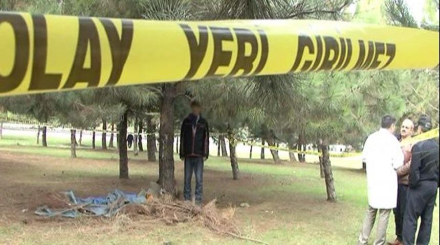 Sakarya'da ağaca asılı erkek cesedi bulundu