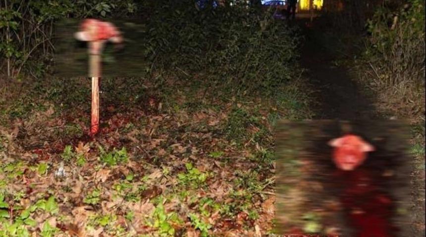 Almanya'da camiye &ccedil;irkin saldırı