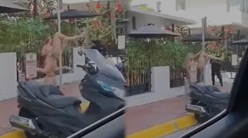 Sokak ortasında direk dans yaptı! Görenler gözlerine inanamadı