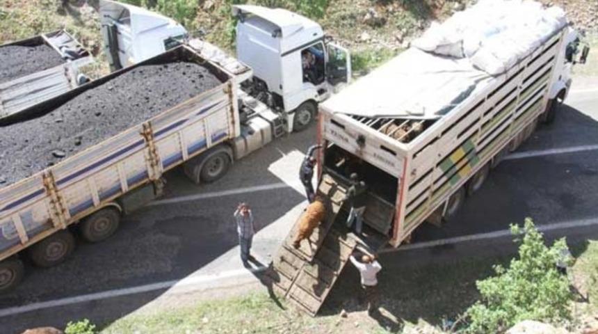 Yol TIR'larla kapandı!