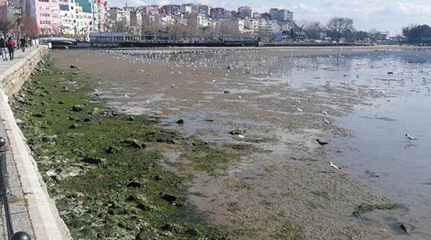 Son dakika: İstanbul'da korkutan görüntüler! Kıyıdan 200 metre çekildi