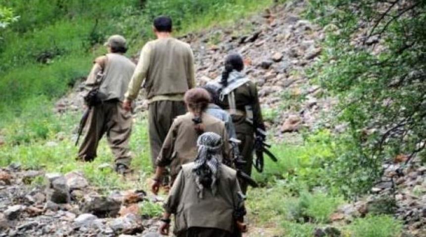 9 PKK'lı teslim oldu