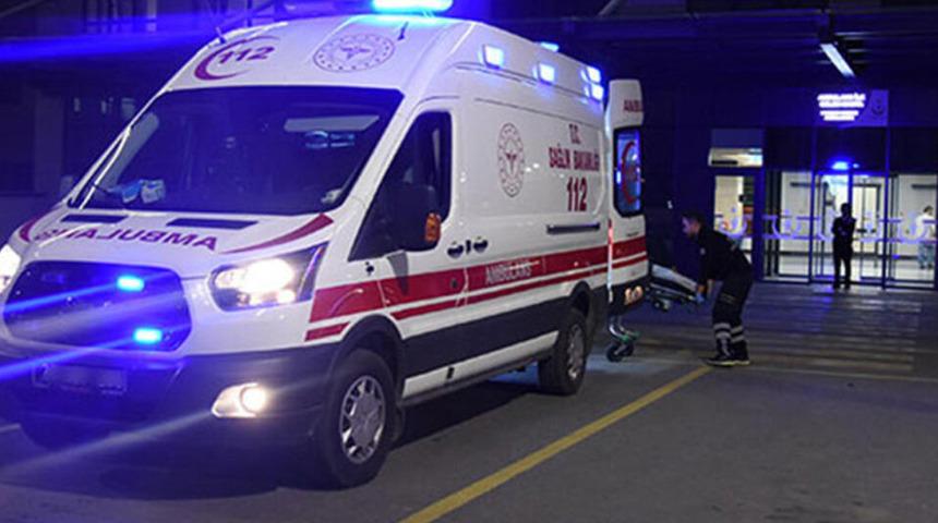 Vatandaşlar fark etti... Ağaçta asılı halde bulundu!