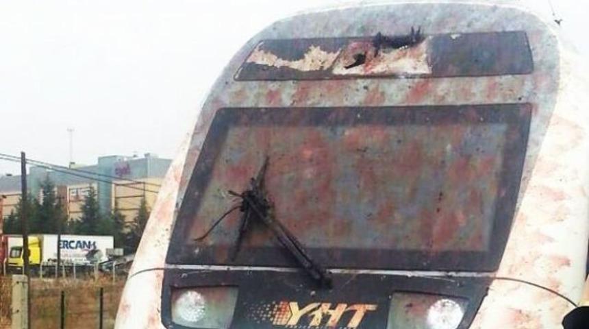 Yüksek Hızlı Tren kuş sürüsüne daldı