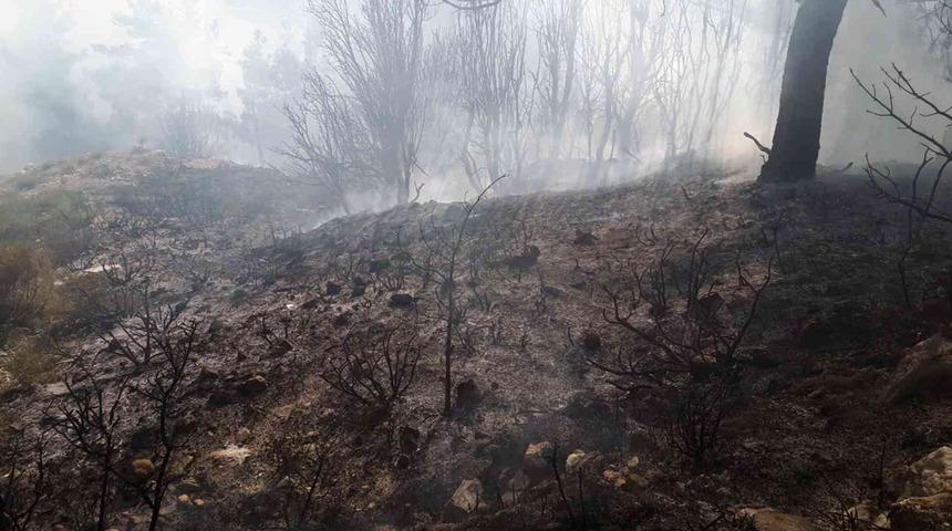 Muğla'da korkutan orman yangını! Zamanında müdahaleyle kontrol altına alındı