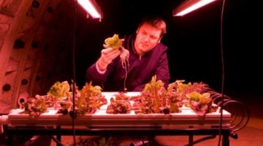 Sığınaklar yer altı &ccedil;iftliklerine d&ouml;n&uuml;ş&uuml;yor!