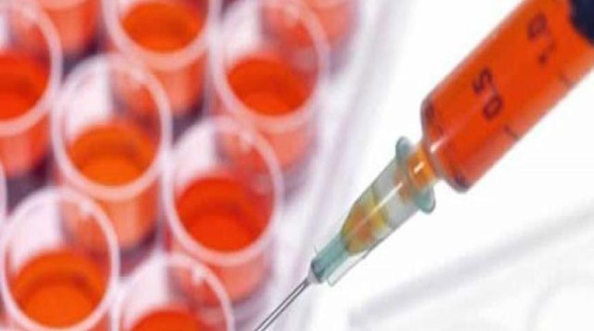 'K&ouml;k h&uuml;cre naklinde Almanya'yı yakaladık'