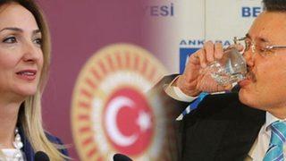 Gökçek'in verileri de kendisi gibi yalandır