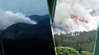 SON DAKİKA: Çin'de düşen yolcu uçağında 'acil durum' detayı! Uçak 2015 model, pilotlar ise...