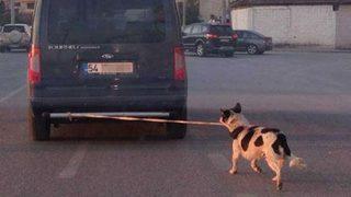 Görenler şoke oldu