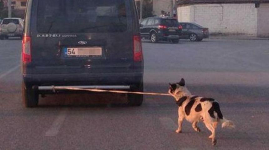 Görenler şoke oldu