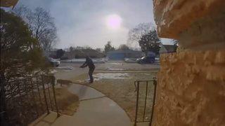 Bahçesine izinsiz giren pitbulla acımadı! Defalarca ateş ederek etkisiz hale getirdi