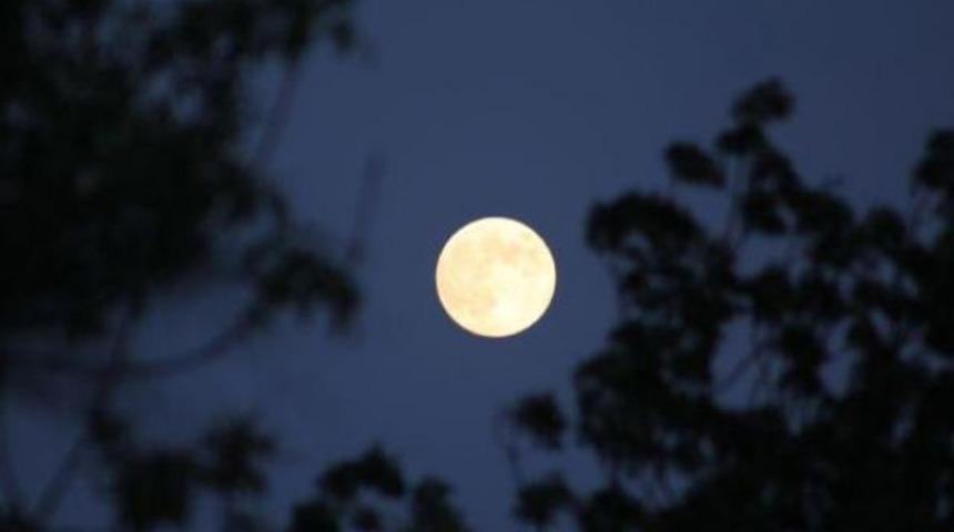 Y&uuml;z yılda en fazla 5 kez!..