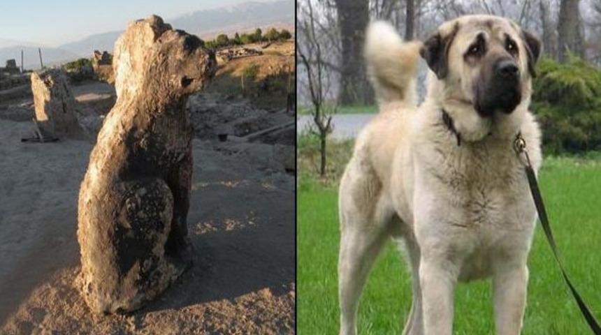 Cehennemi bekleyen k&ouml;pek kangal &ccedil;ıktı