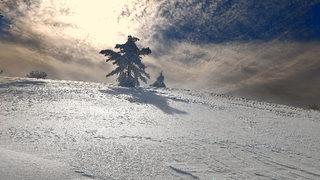 Sadece güneşi ve deniziyle değil karıyla da dikkat çekiyor! Burası Muğla'nın bilinmeyen Sibirya'sı 