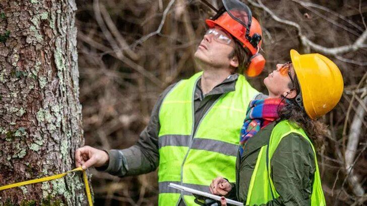 Tarım ve Orman Bakanlığı personel alımı başvuruları ne zaman? Fuat Oktay açıkladı! Tarım ve Orman Bakanlığı personel alımı başvuru şartları neler? G2