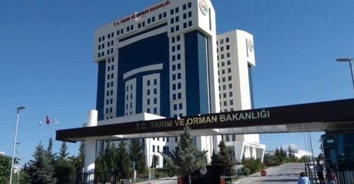 Tarım ve Orman Bakanlığı personel alımı başvuruları ne zaman? Fuat Oktay açıkladı! Tarım ve Orman Bakanlığı personel alımı başvuru şartları neler? G1